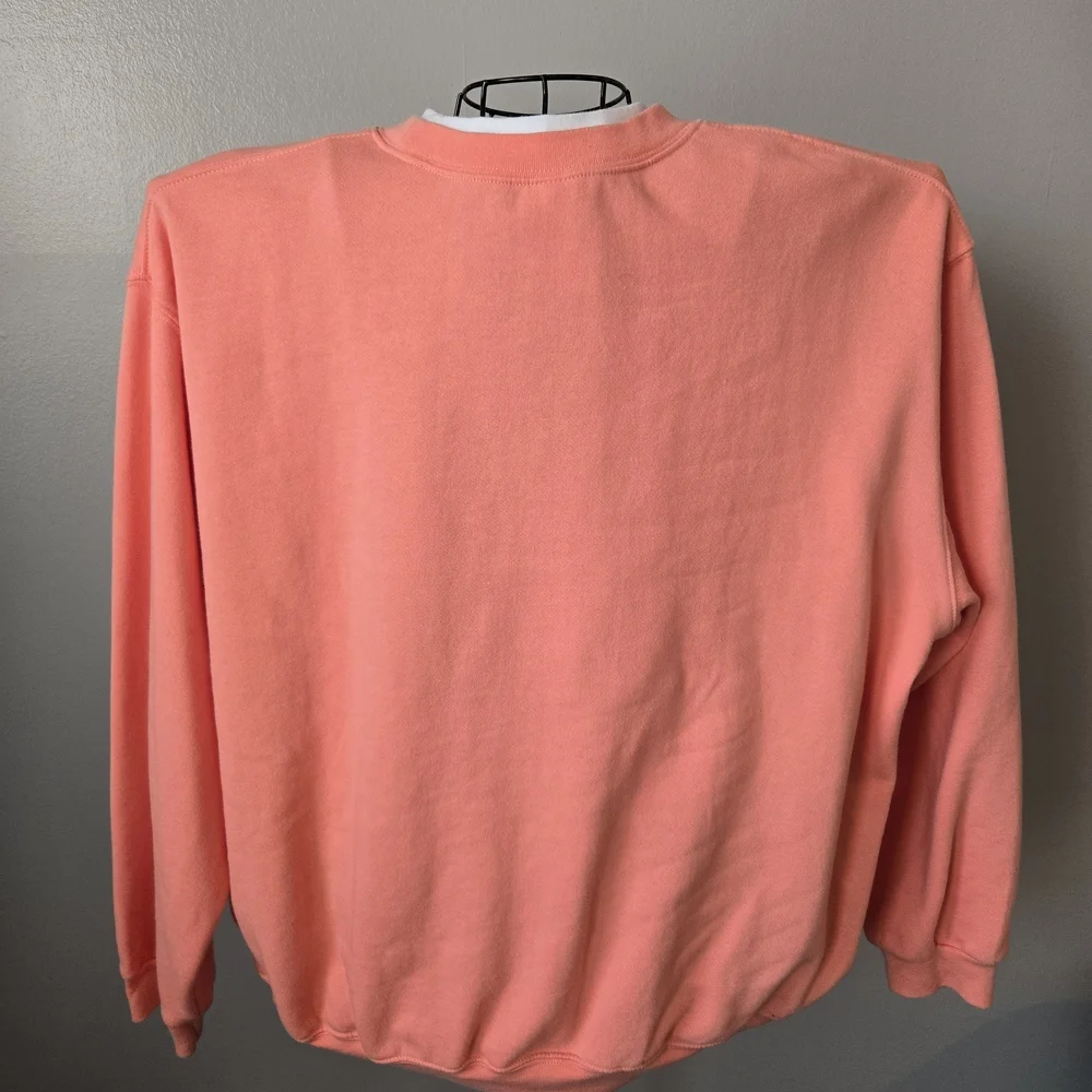 Morning Sun Cottagecore Coral Pink Hummingbird Floral Embroidered Sweatshirt